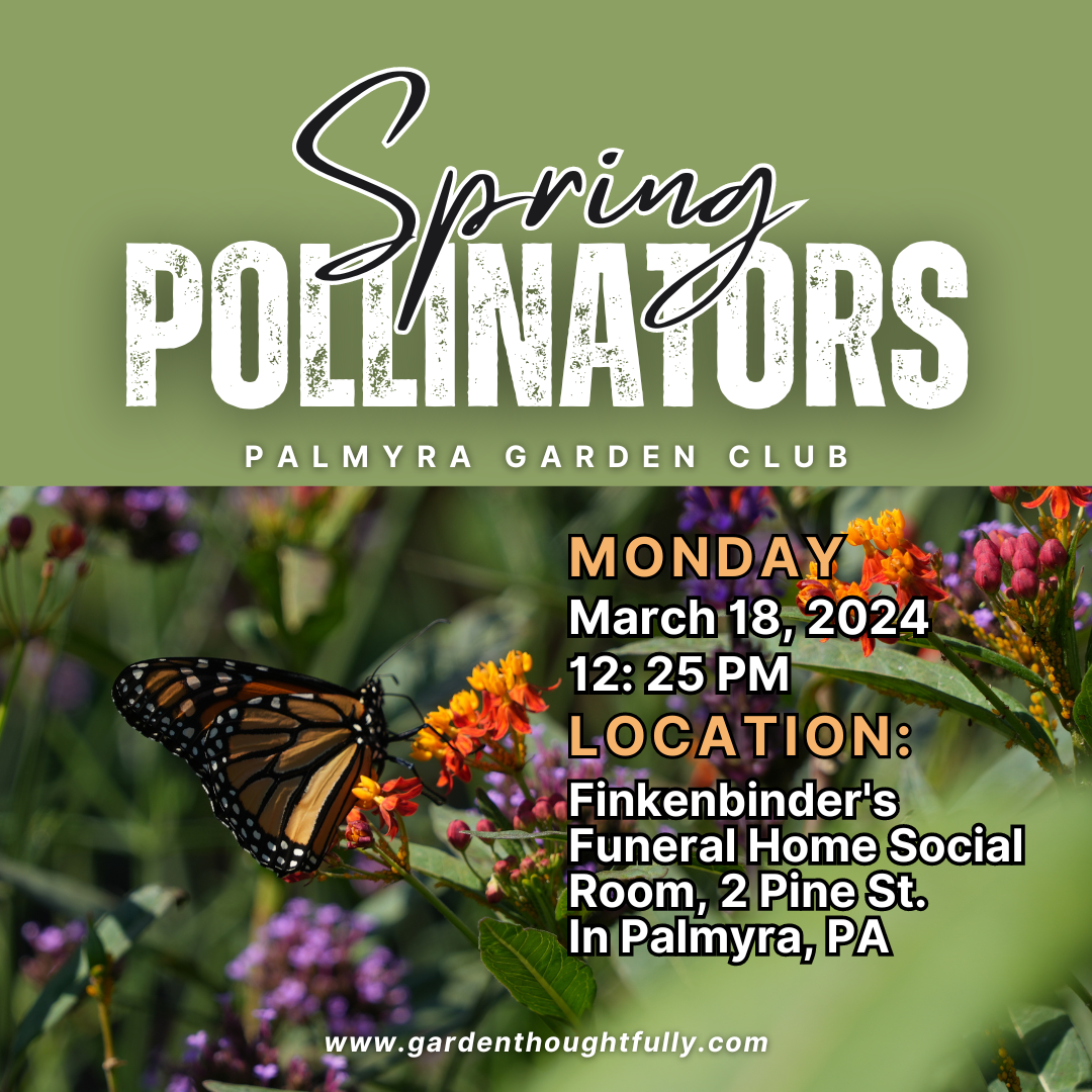 Spring Pollinators